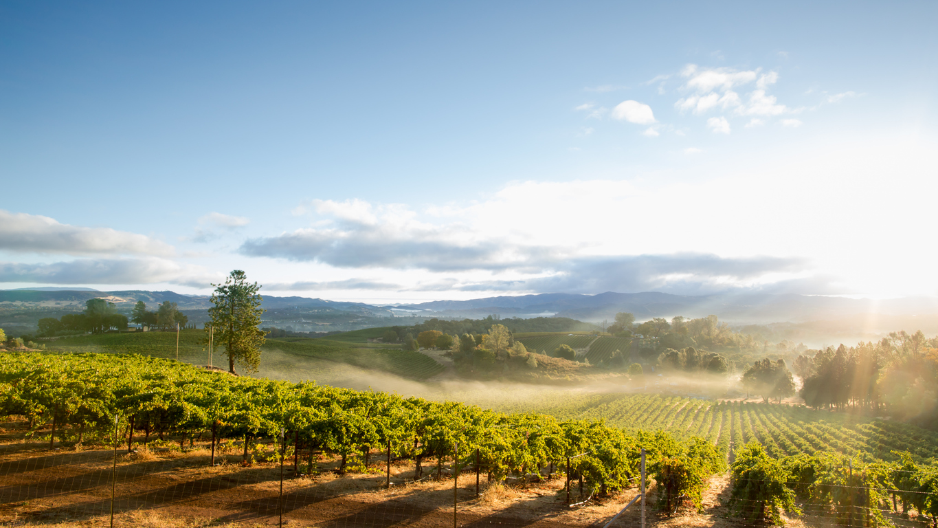 Panoramic Image of Piedmont, CA